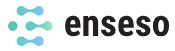 Enseso_logo